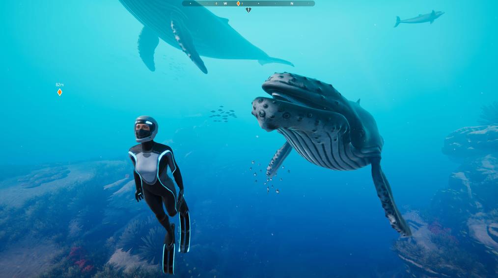 에픽게임즈 무료배포 비욘드 블루(Beyong Blue)