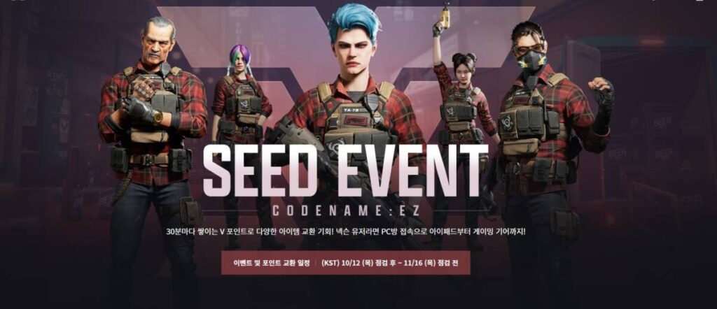 베일드 엑스퍼트 하려면 지금이 절호의 기회