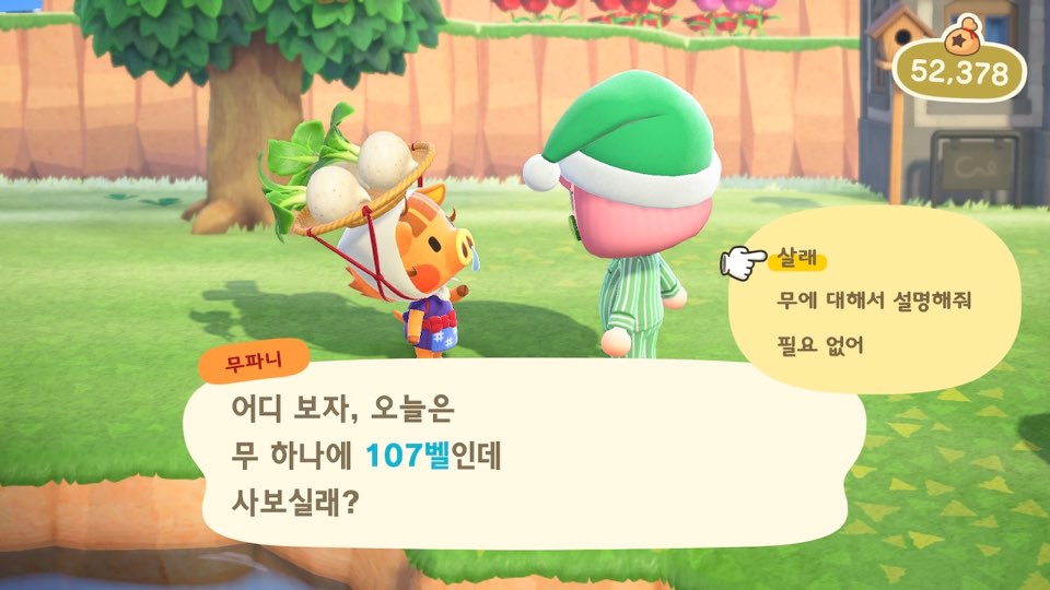 모동숲 NPC 주민 공략 첫번째 주인공은 무테크 무트코인 가능한 무파니