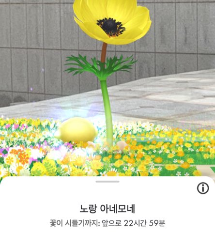 피크민 블룸 빅 플라워 피우는 방법 알아보기