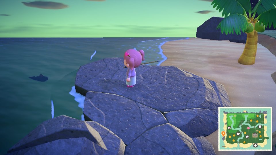 모여봐요 동물의 숲 모동숲 여름 즐기기